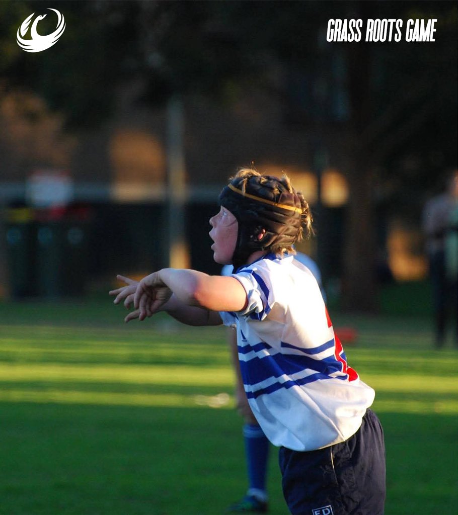 westernforce's tweet image. 🏉 looking back to where it all started 
 
Can you name all the grass roots players? 🧐  

 #StrongerTogether #GrassrootsGame