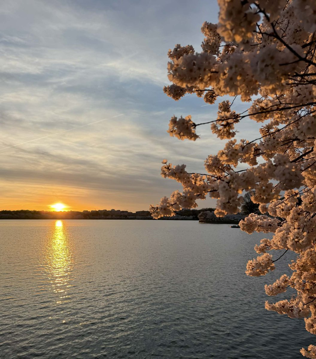 Maureen Townsend tweet media