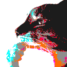 Retro Red Pandusky tweet media