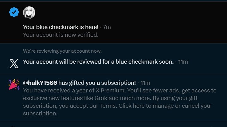 𝕏𝖎𝖆 tweet media