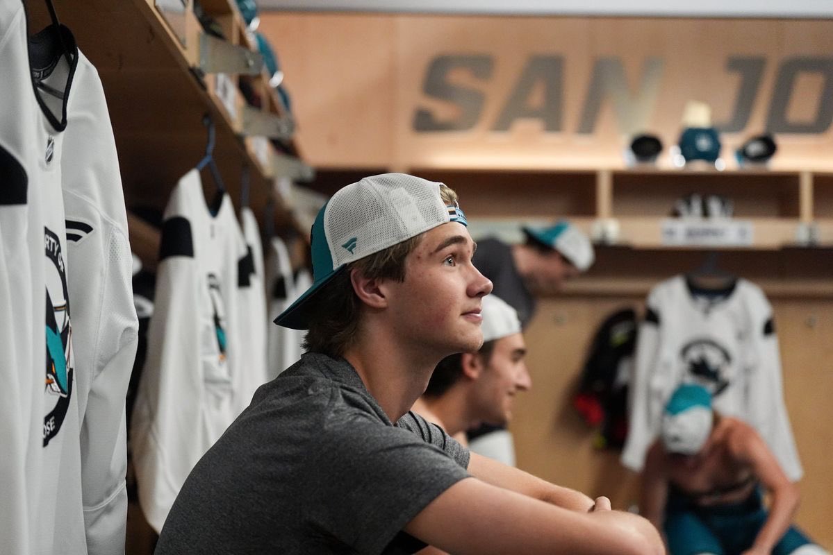 morgs 🦈 tweet media