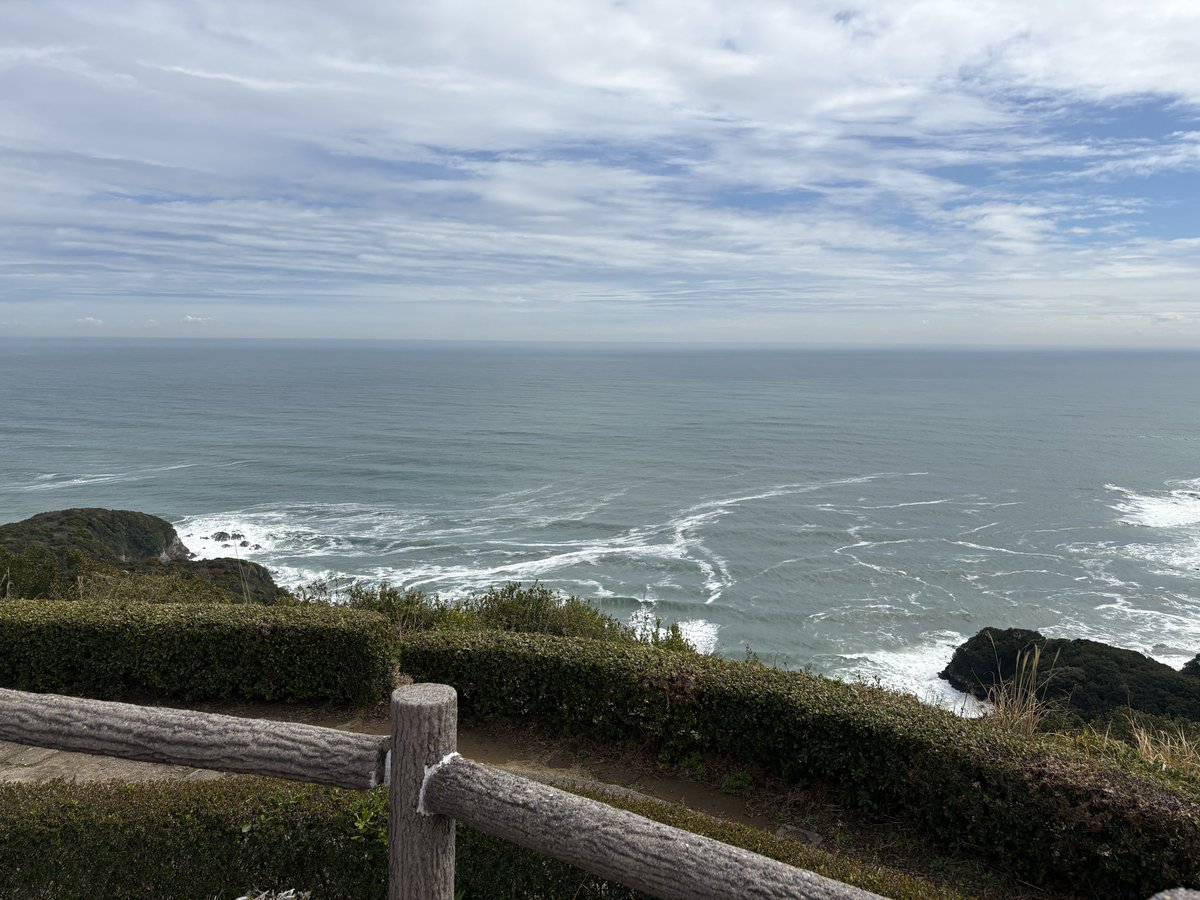 メープル tweet media