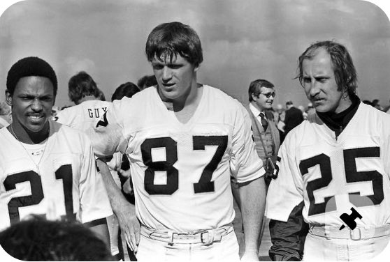 Raider66 tweet media