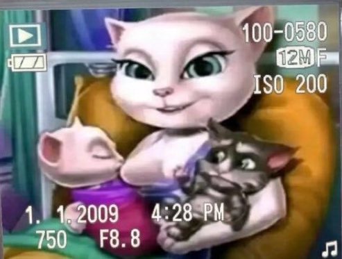 peixes estranhos/ arpejos tweet media