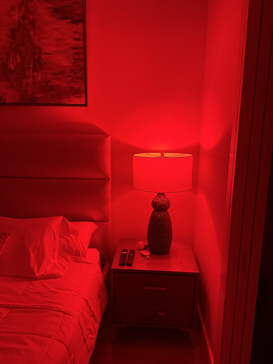 Carnivore Aurelius ©🥩 ☀️🦙 tweet media