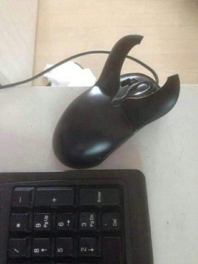 🕯다즐링🕯 tweet media