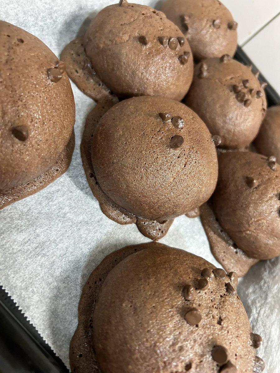 まこちぃ⋆͛🦖⋆͛3y tweet media