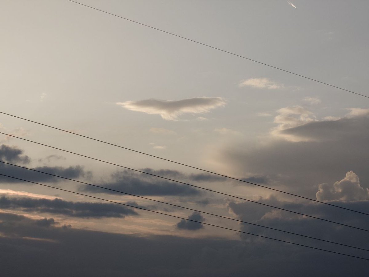 TELEPATHIC OBSERVATION💫✨🛸 tweet media