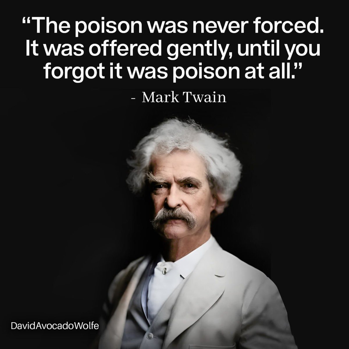 David Wolfe tweet media