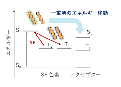 JST_info's tweet image. 〈プレスリリース〉一重項分裂（SF）により増幅した励起子の効率的な捕集に成功～量子収率130パーセントを達成する鍵分子を発見、太陽電池の限界突破に道～
jst.go.jp/pr/announce/20…
将来的に従来限界を超えた効率を示す太陽光発電や発光ダイオードへの応用が期待されます。
#JST #ACT_X #ASPIRE