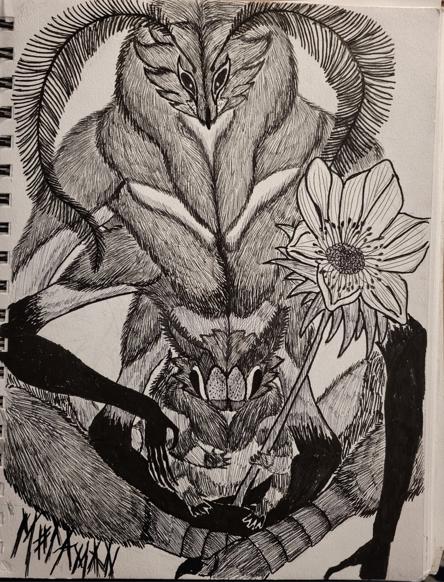 Sr Motaman tweet media