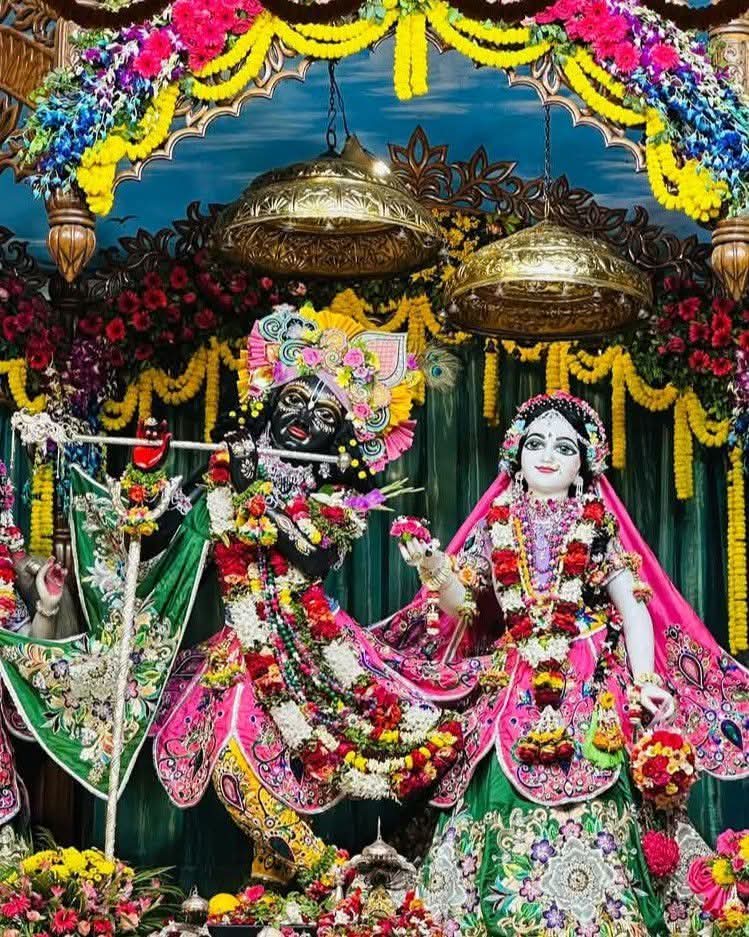 ( बृजवासी) सत्येंन्द्र कुमार 🙏 tweet media