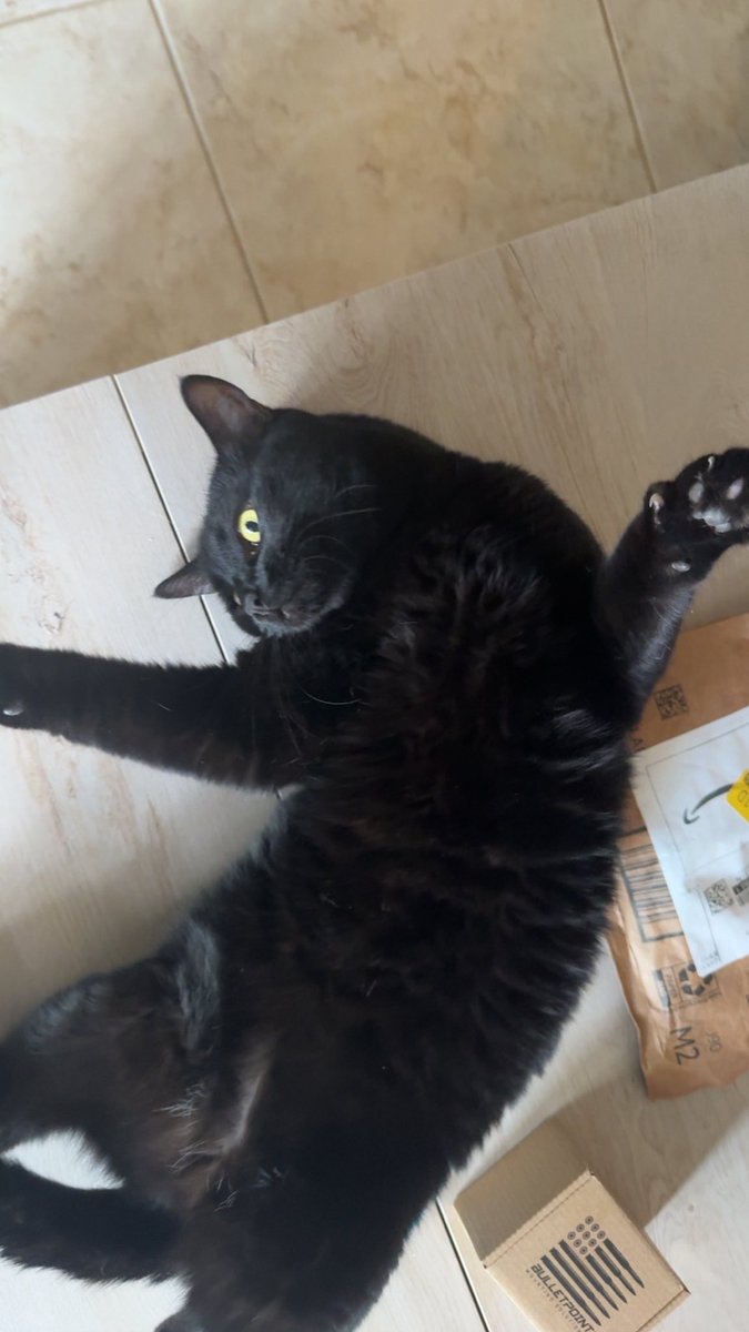 Waff1e ♱ tweet media