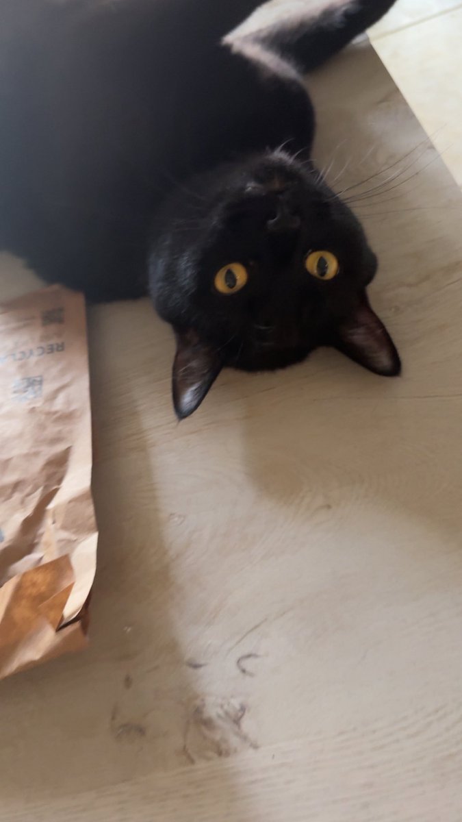 Waff1e ♱ tweet media