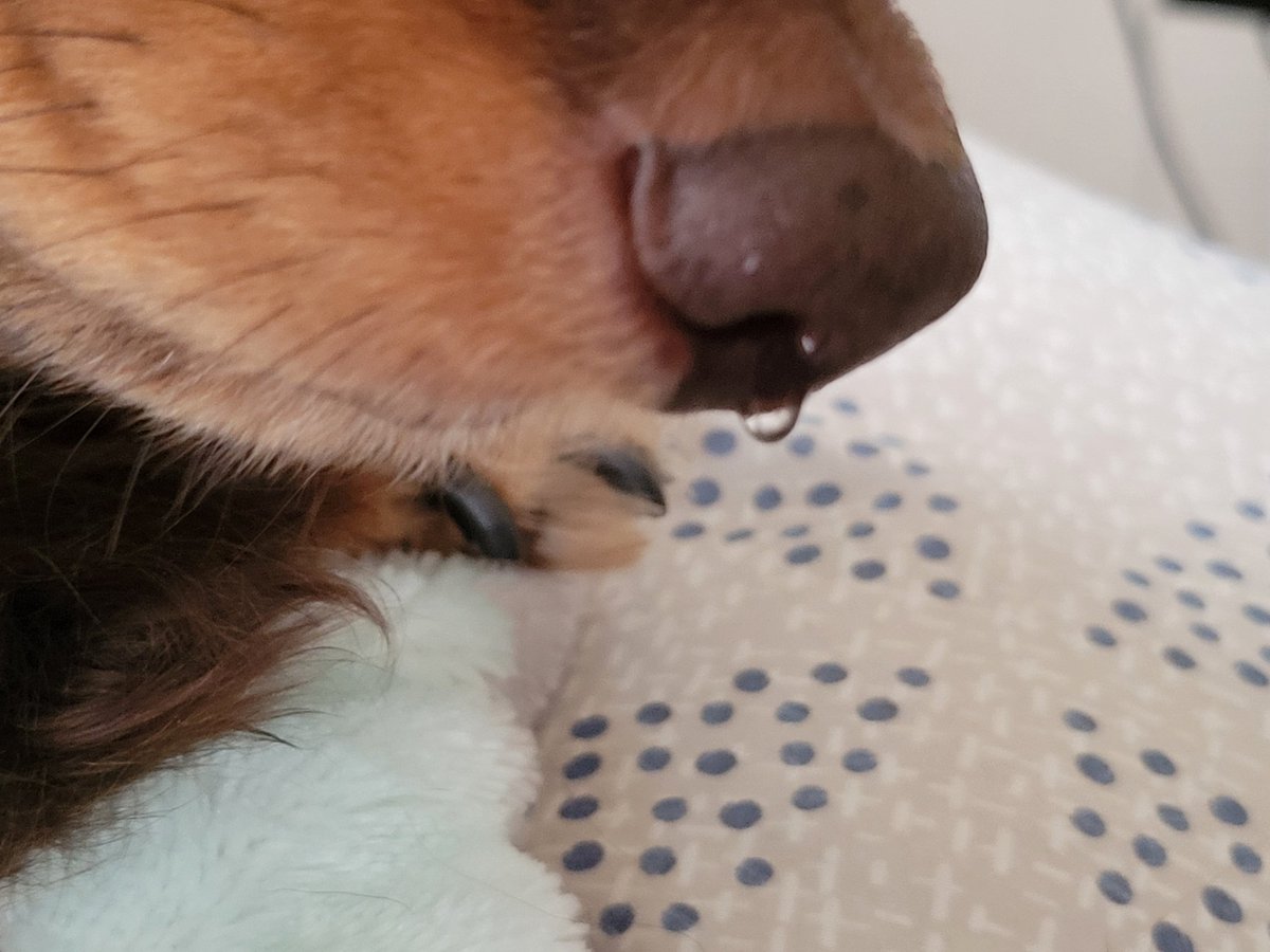 みんすけ tweet media