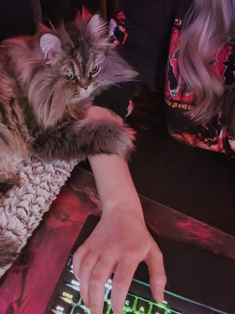 Ashmonster tweet media