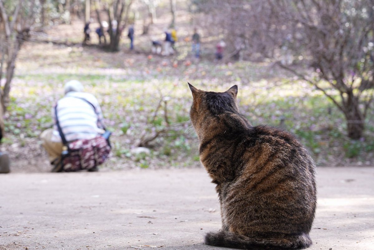 ふるむ〜ん@from my Balcony tweet media