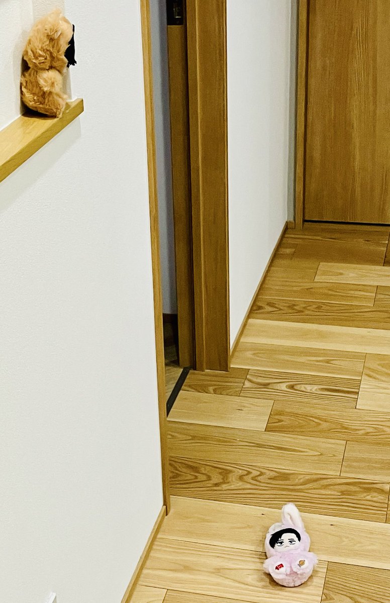 ト、トガ氵くーん‼️
（帰ったら落ちてた）