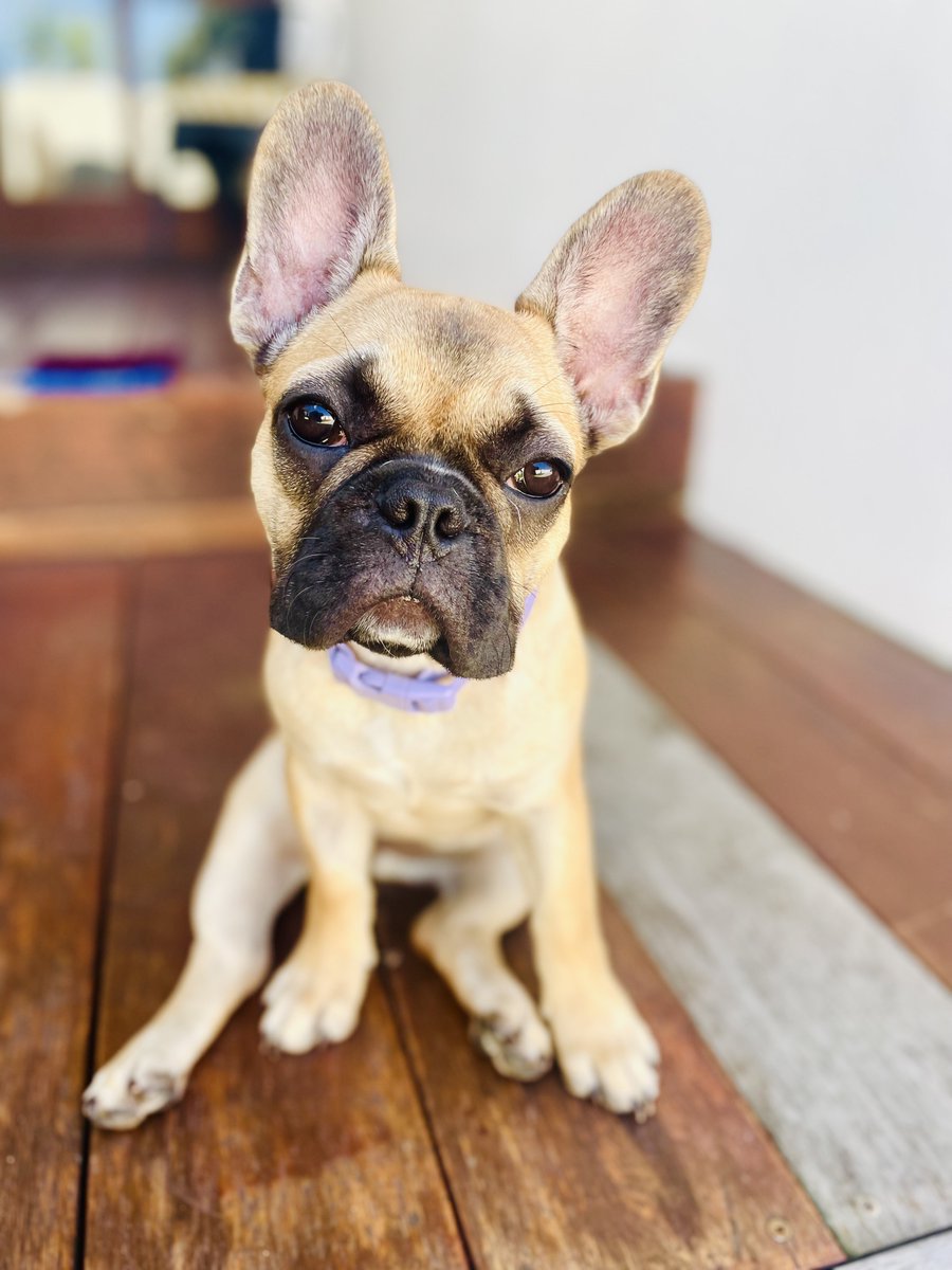 So Overit tweet media