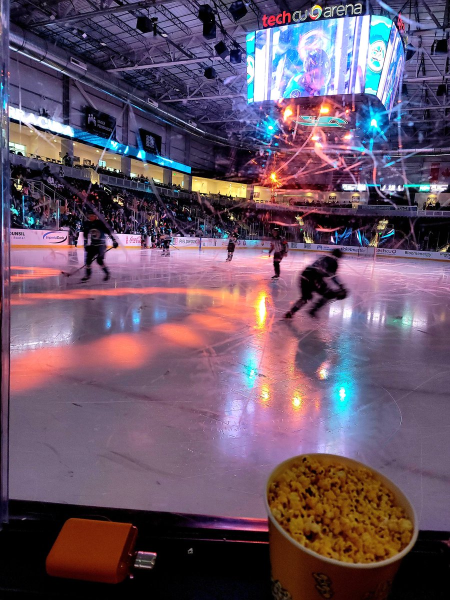 EbethO's tweet image. Taking Boodles &amp;amp; Fae to their 1st professional hockey game (the AHL @MRBarracudas vs the @TexasStars). #OnTheGlass