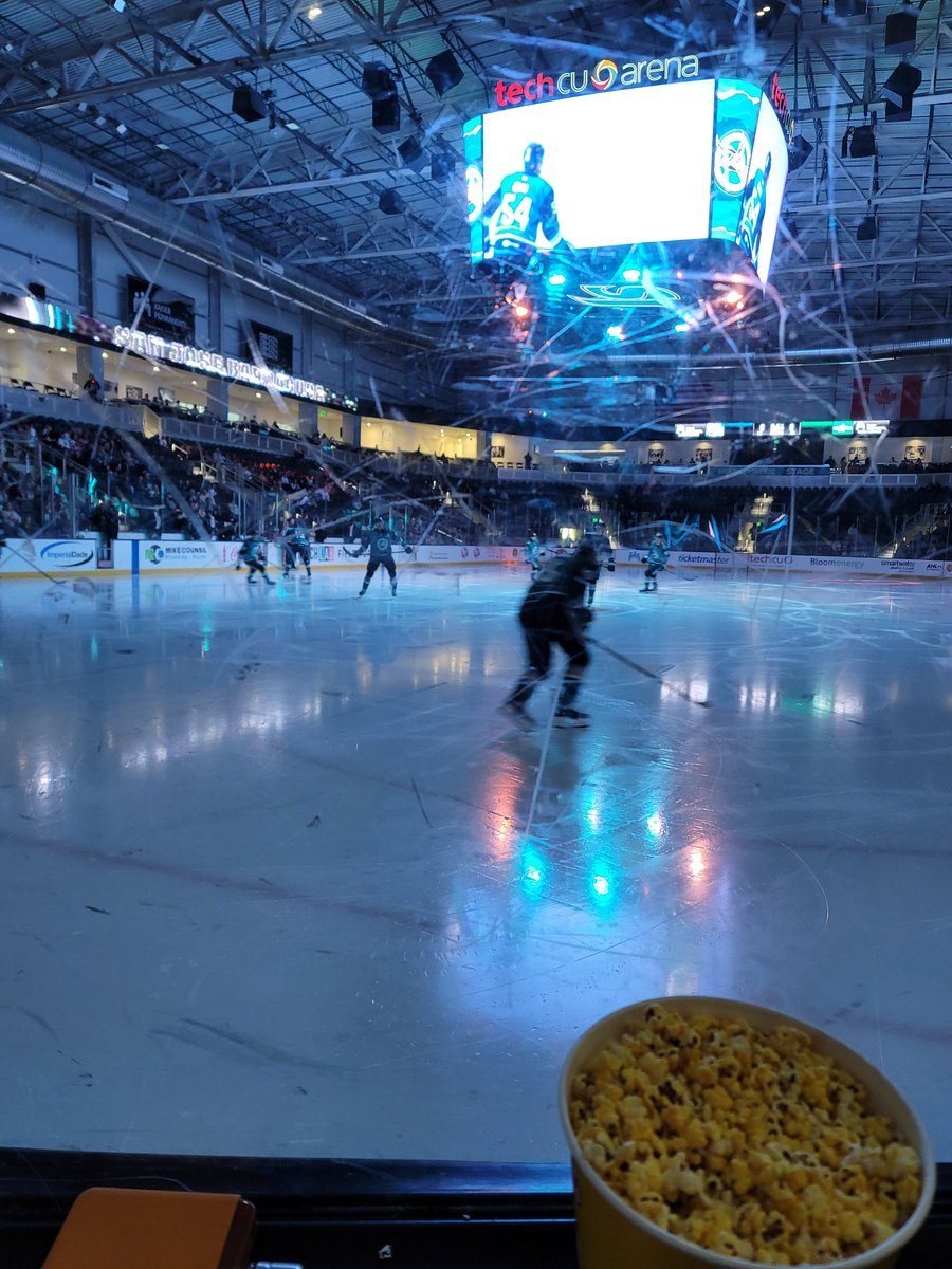 EbethO's tweet image. Taking Boodles &amp;amp; Fae to their 1st professional hockey game (the AHL @MRBarracudas vs the @TexasStars). #OnTheGlass