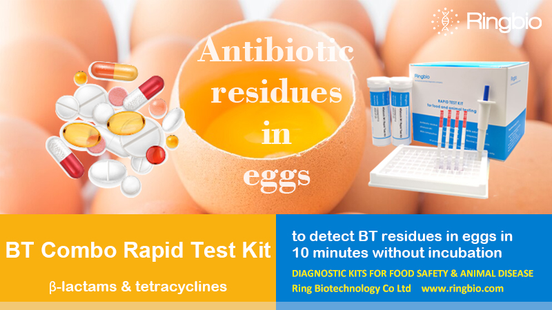 Ringbiotests's tweet photo. #Ringbio’s Egg BT Combo Rapid Test Kit utilizes the high affinity of monoclonal #antibody against #beta-lactams and #tetracyclines, which can identify BT in #eggs in 10min. The detection limit of the kit can meet both #EU and #USA #MRLs. 

Check here, https://t.co/XLJruCTODN https://t.co/W6KuPl8mpK