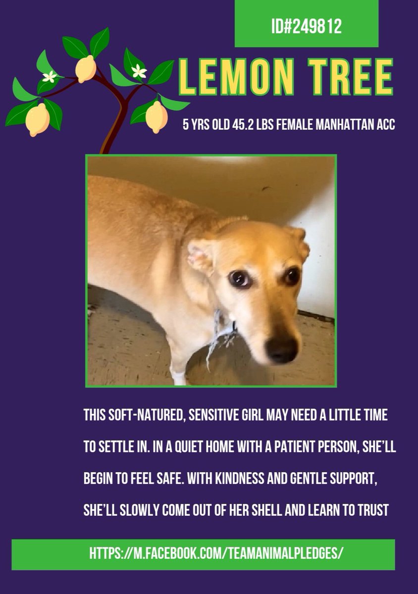 Char Bolen tweet media