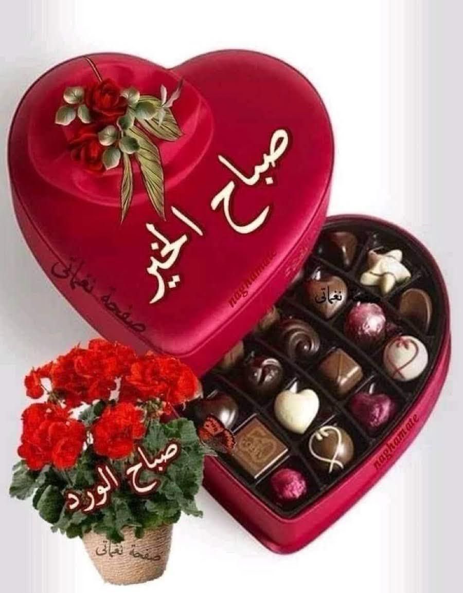 🔥الاعصااار🌪️ tweet media