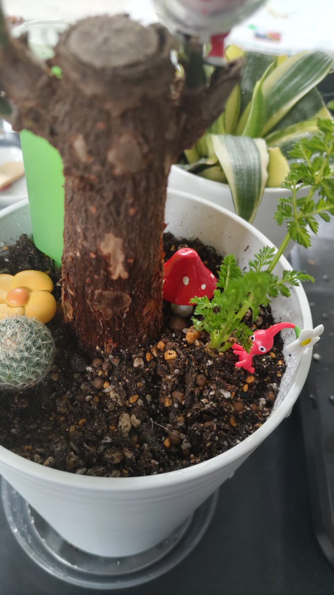 そはら tweet media