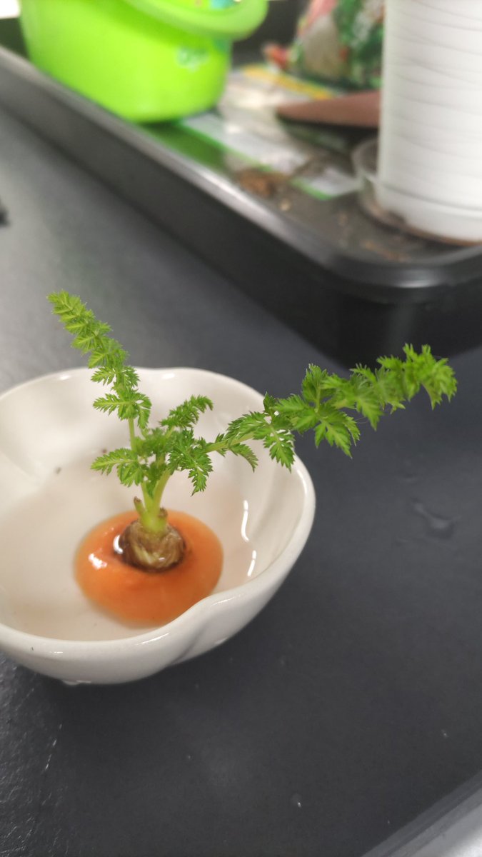 そはら tweet media