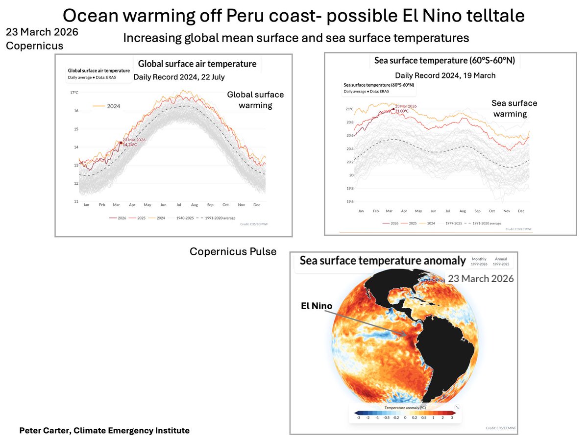 PCarterClimate's tweet image. POSSIBLE EL NINO OCEAN WARMING TELLTALE OFF PERU
Fast-developing ocean surface warming plume off Peru coast- possible El Niño telltale. Global average and sea surface warming are increasing. (Copernicus Pulse)
#ElNino #climatechange #globalwarming