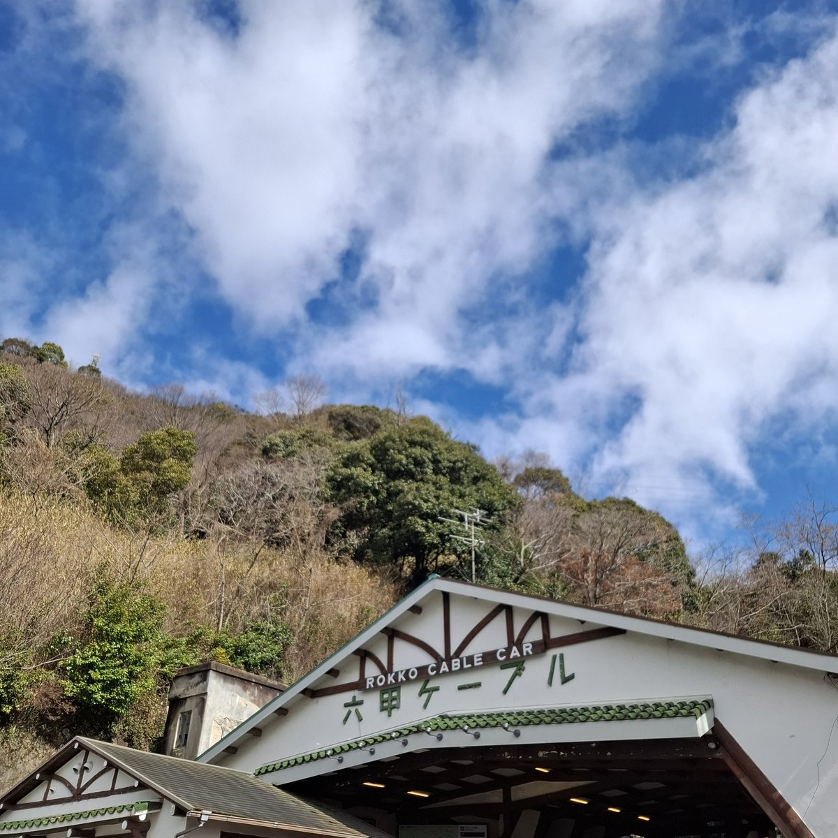 🎪すわこっこ🐾🐘🍎 tweet media