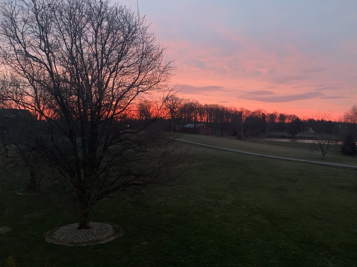 BubbaThePineapple tweet media