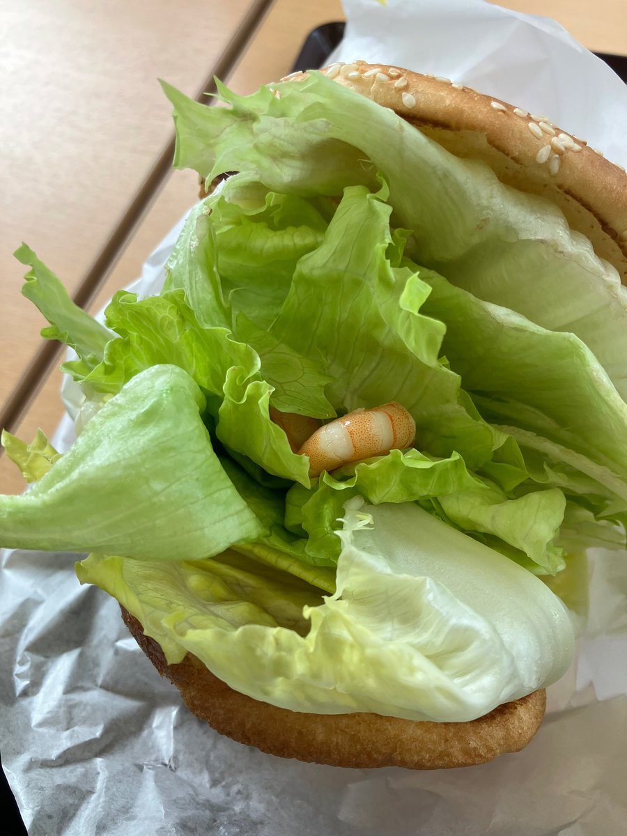 ゴースト tweet media