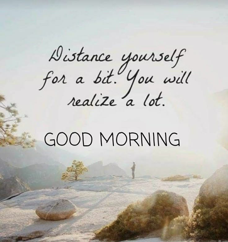 Chris Lotter tweet media