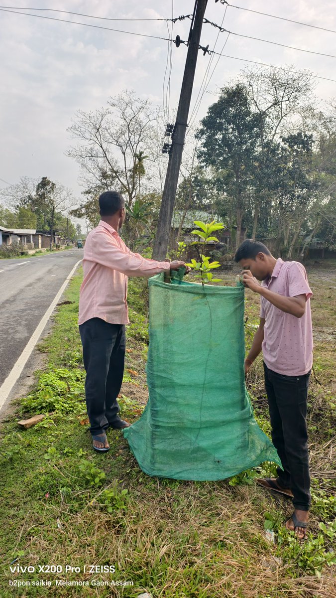 bitupon88900972's tweet photo. It's Time For The Morning
#destinationkhumtai #cleankhumtai
#greenkhumtai #savetreesavelife
@Mrinal_MLA @himantabiswa @CMOfficeAssam @narendramodi @PMOIndia @NANDANPRATIM @Pijush_hazarika @KamakhyaTasa @manabdeka @borgohainSBG https://t.co/3wuQ9D4g8W