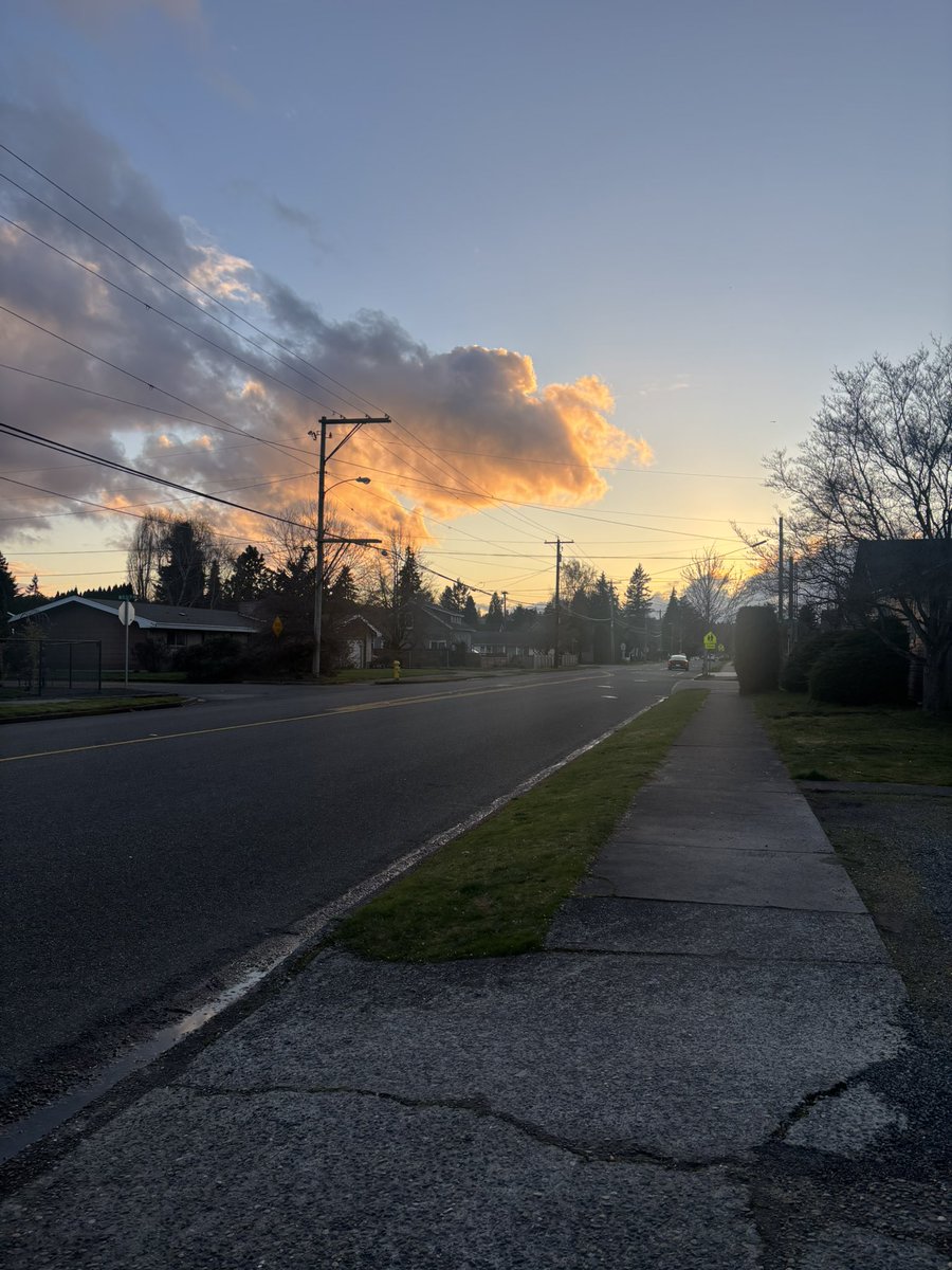 ꨄShayꨄ tweet media