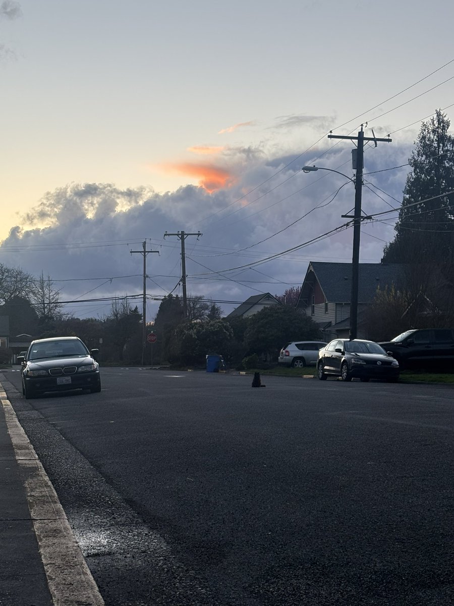 ꨄShayꨄ tweet media