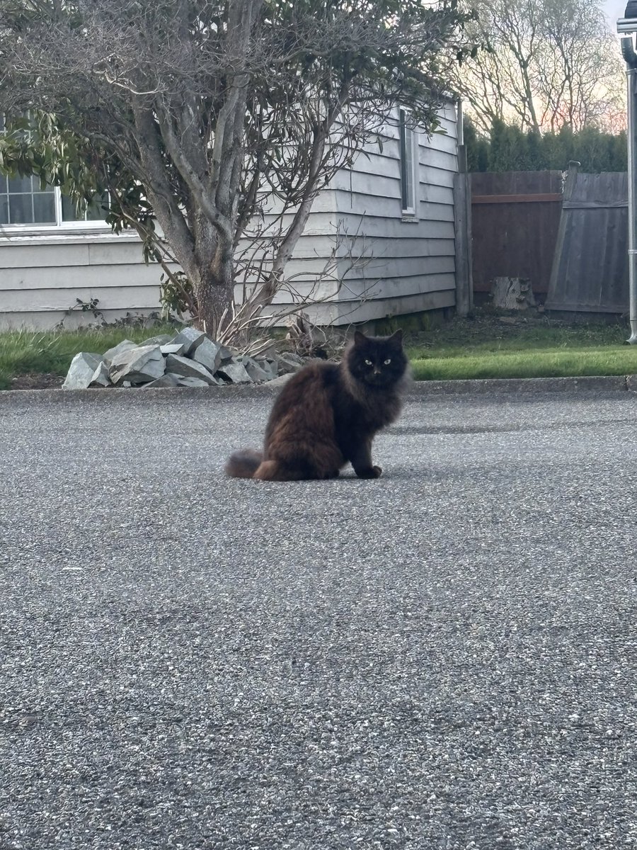 ꨄShayꨄ tweet media