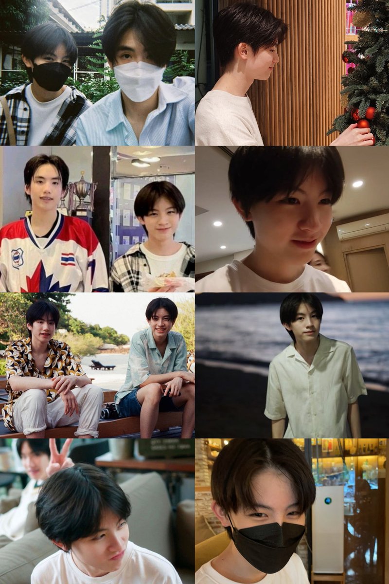 pingping tweet media