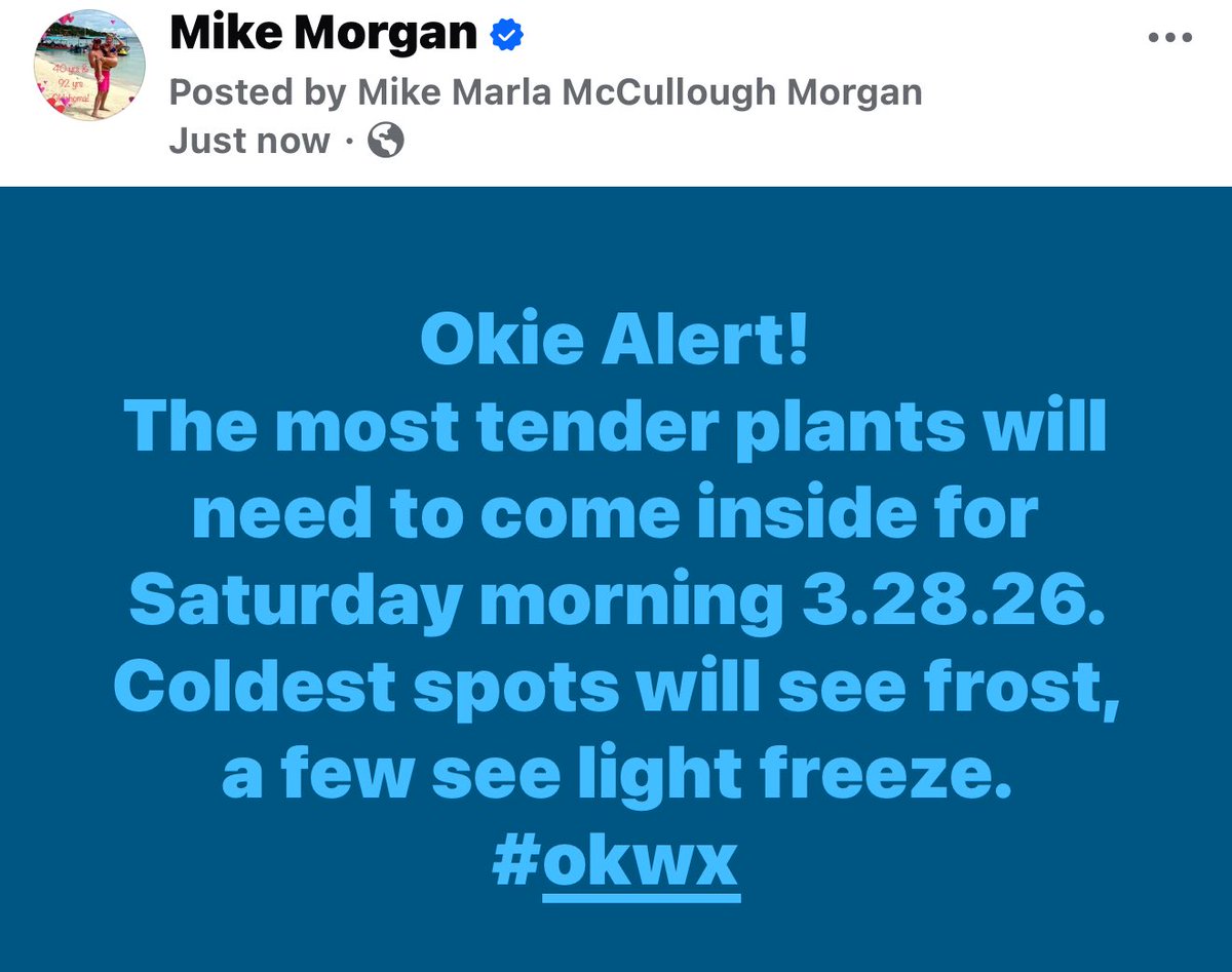 Mike Morgan tweet media
