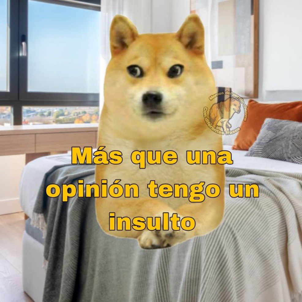 Alejandro Gonzalez tweet media