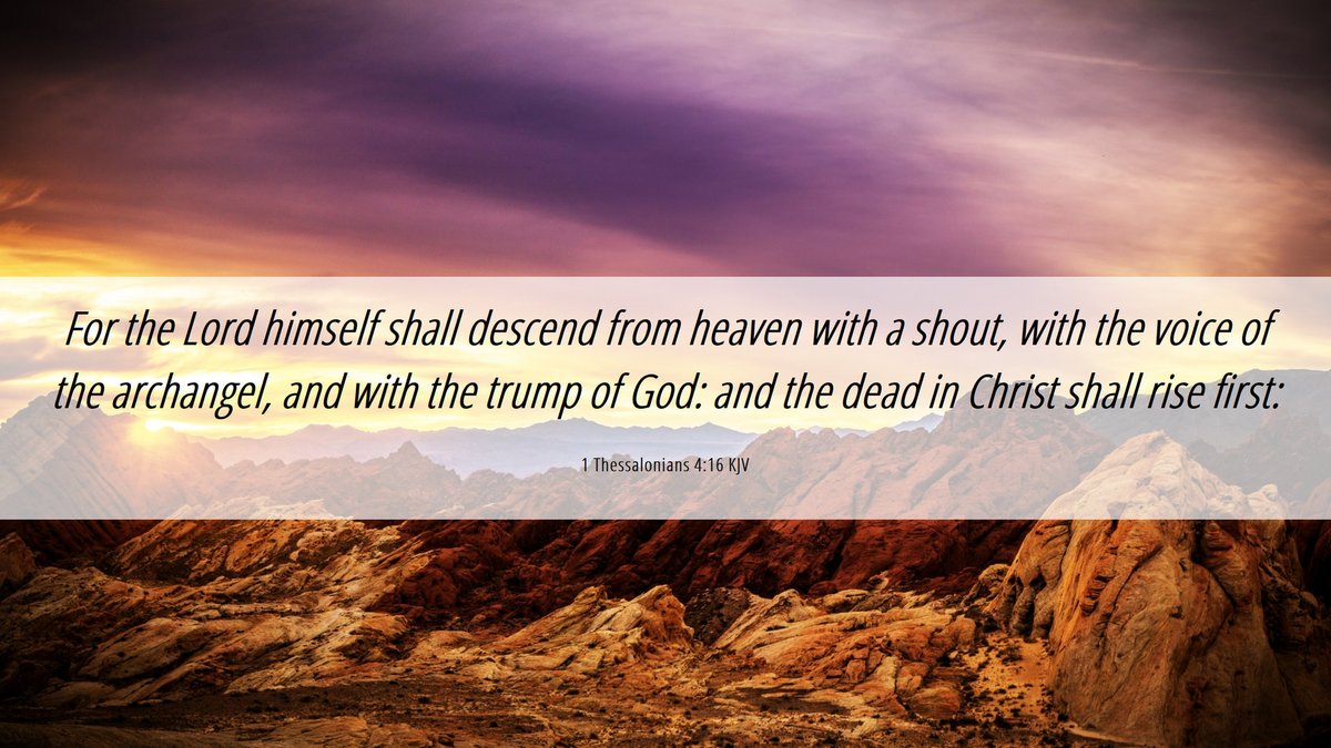 Project 144K tweet media