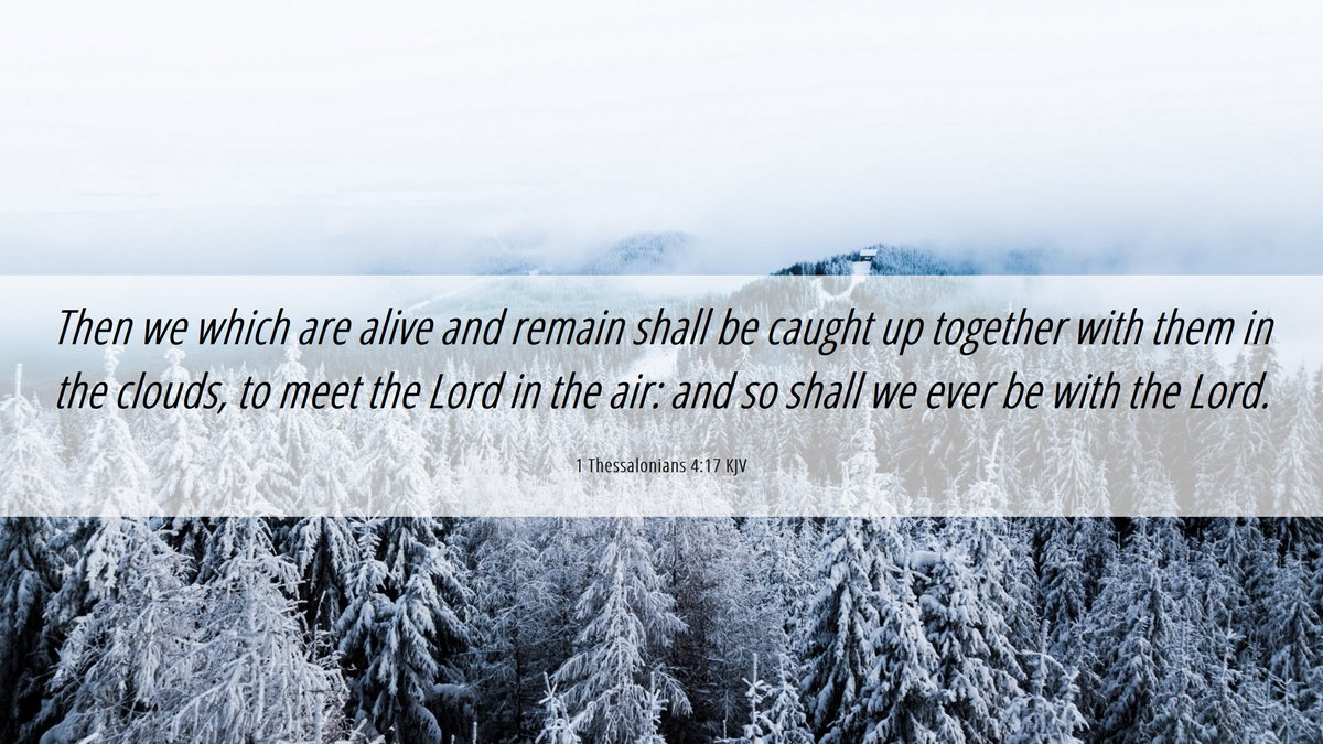 Project 144K tweet media