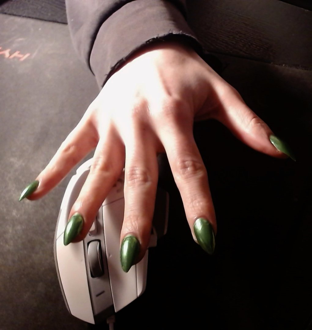 Ms. Peep (pet) tweet media