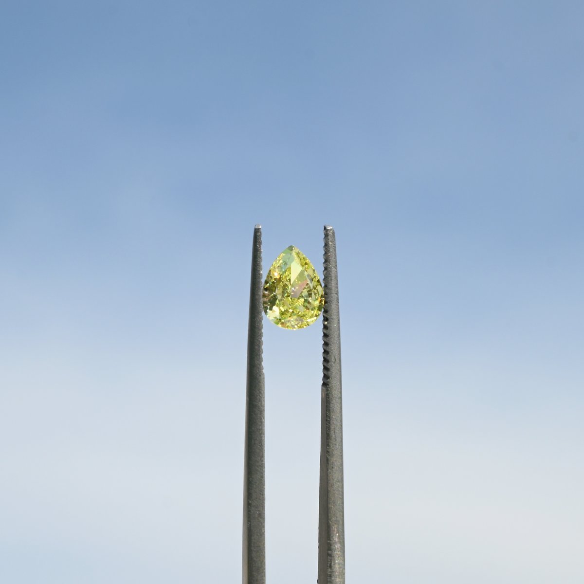 엘리그✨️ tweet media