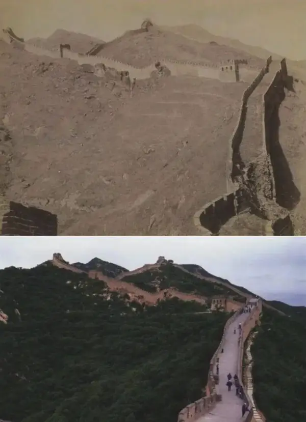 Trumplus tweet media