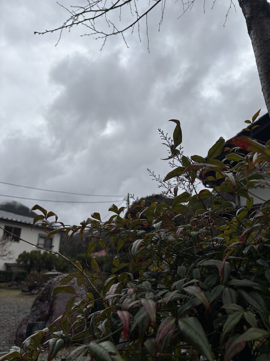 TABA CAFE tweet media