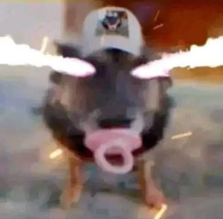 REDOX_AFK tweet media