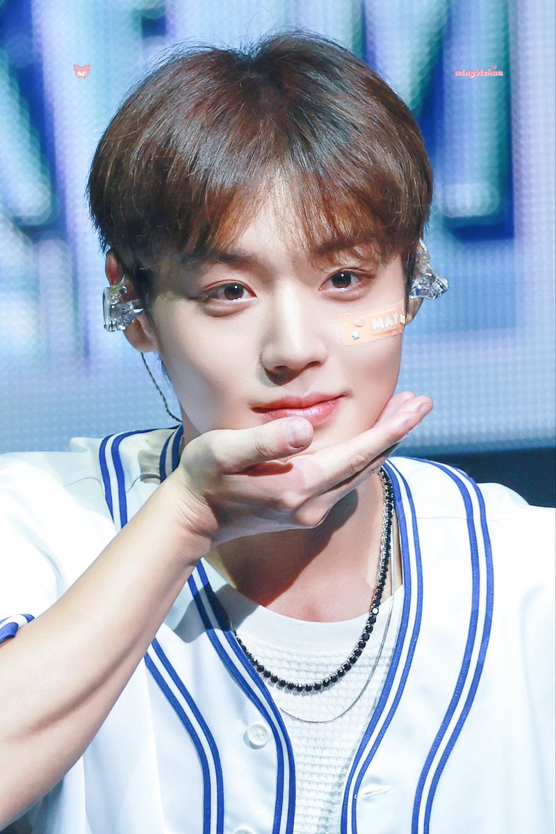 윙비츄 tweet media